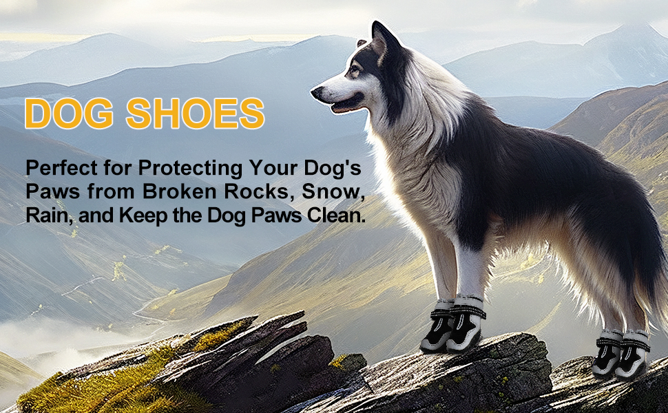 Dog Shoes for Small Dogs,Dog Boots & Paw Protectors for