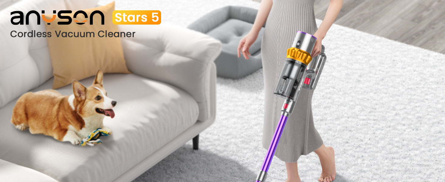 Text reads 'ANYSRON Stars 5'. Cordless vacuum cleaner being demonstrated on light carpet, with golden retriever resting on gray couch in background.