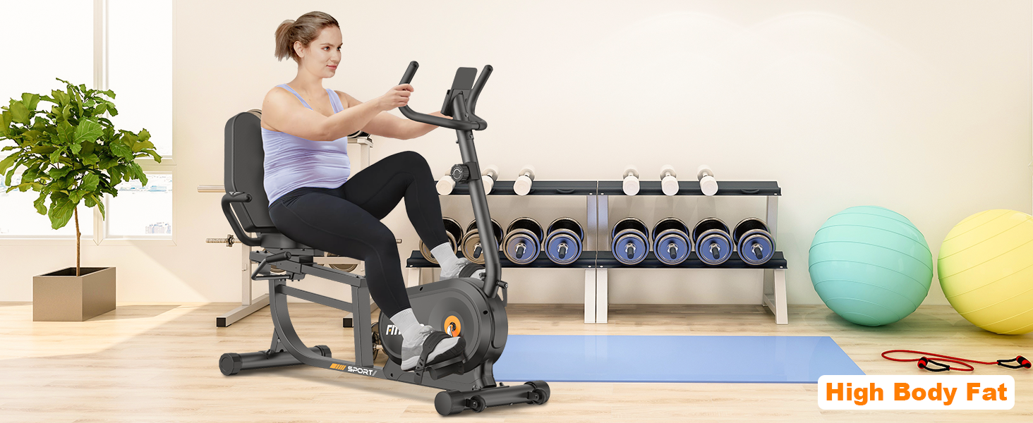 Recumbent Exercise Bike