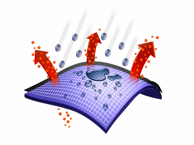 Womens Waterproof Hiking Boot