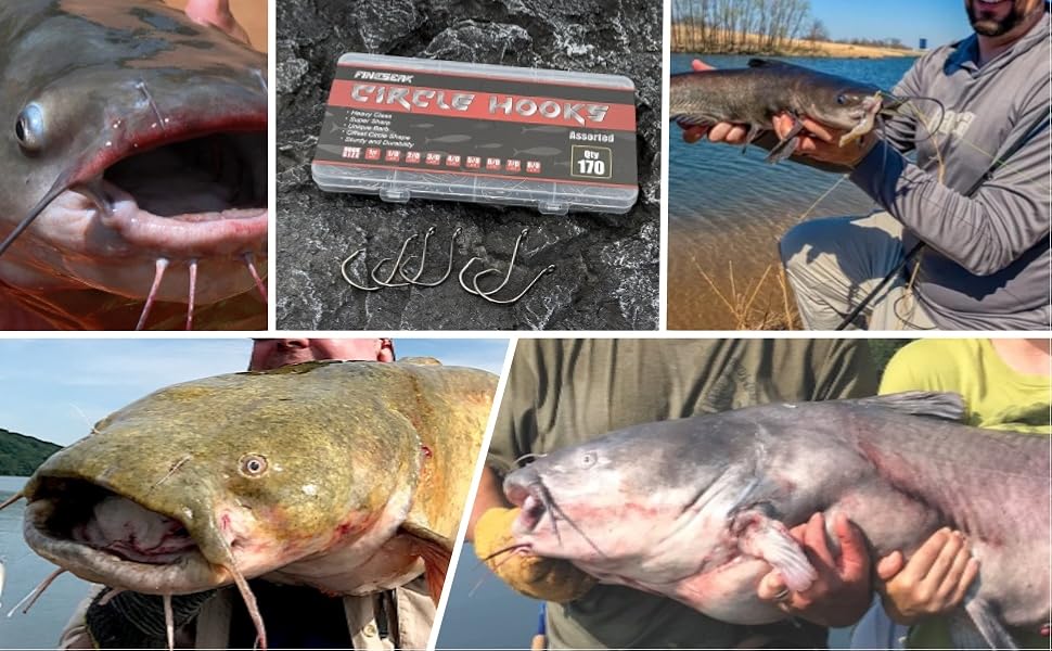 Fishing Circle Hooks