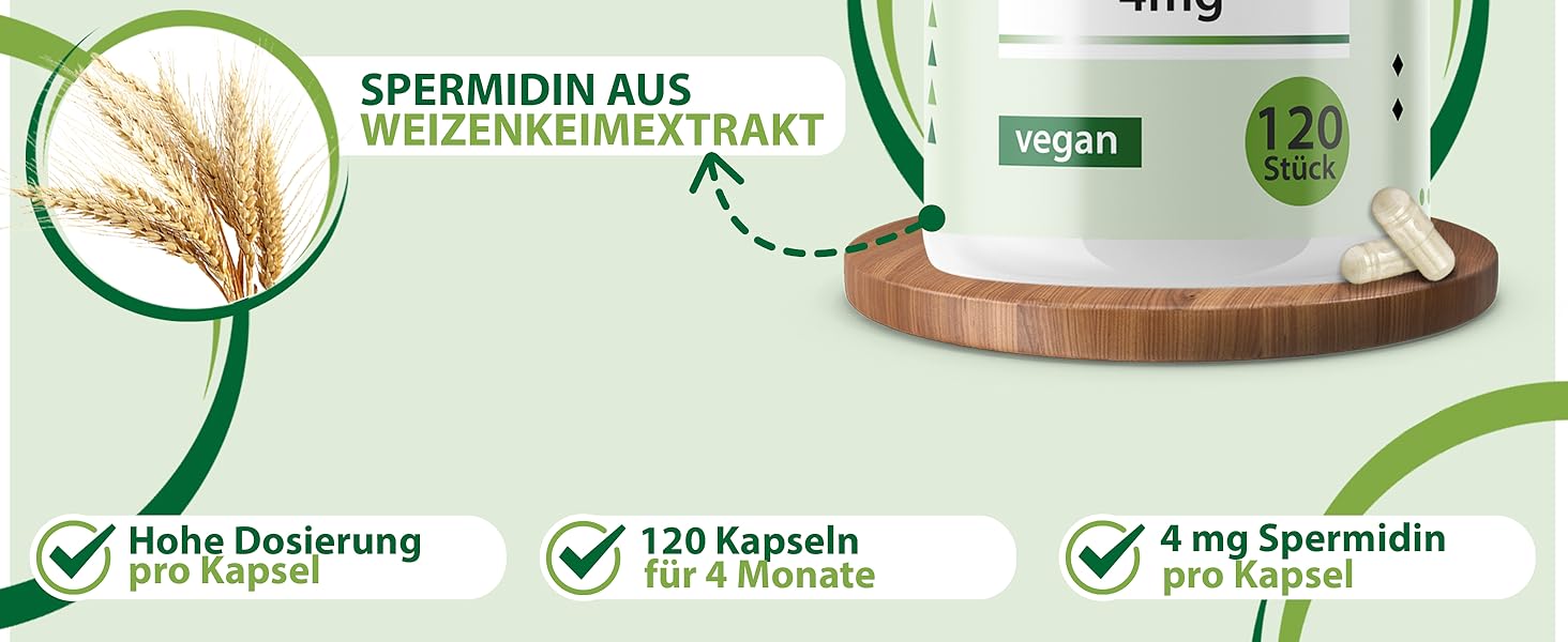 Spermidin Desktop Bild 2