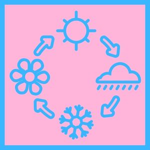 spn-bfcc Fake Plants Small, Mini Artificial Plants Indoor for Home Farmhouse Bathroom Shelf Décor