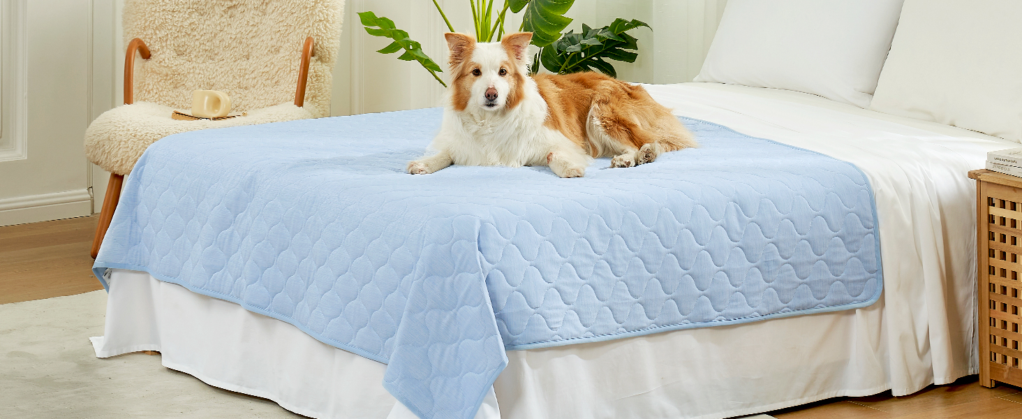 used in bed