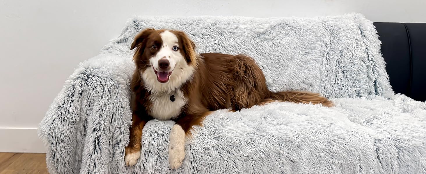 Large Washable Pet Blanket