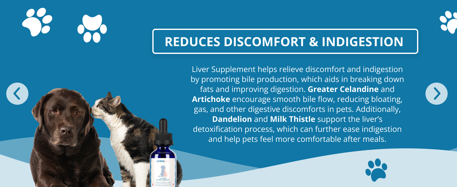 liver supplement reduces discomfort pain and indigestion in dogs and cats