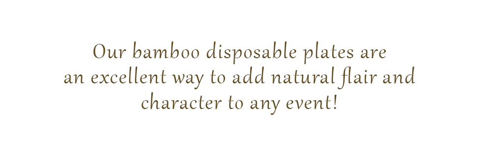 disposable dessert plates