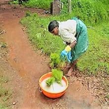 Small manufacture image 5