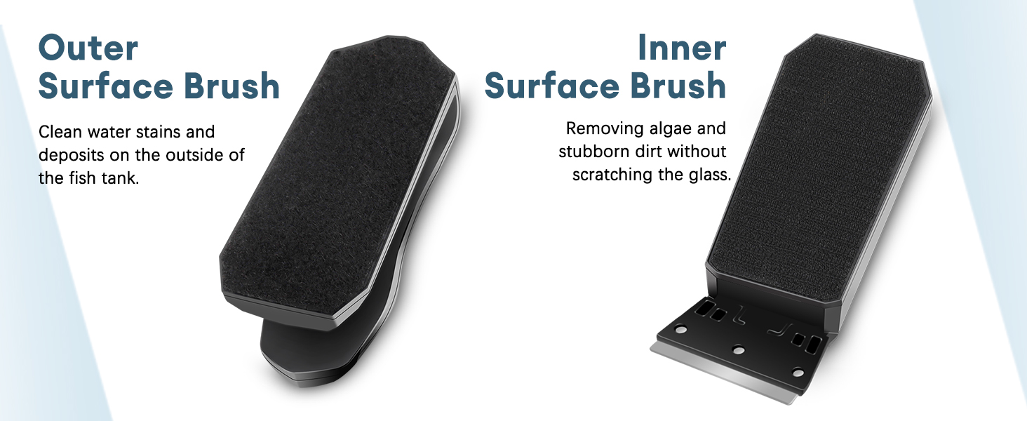 algae remover for fish tank