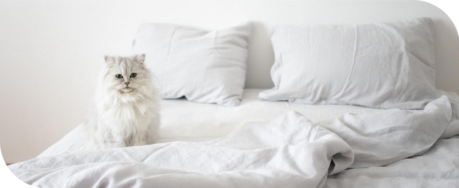 Haus and Kinder Queen Bed Sheets Set, 400 Thread Count Cotton Sheets with Sateen