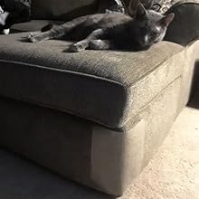 Cat Protectors for Sofa