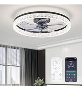 FTZVRD Ceiling Fans with Lights and Remote, 20