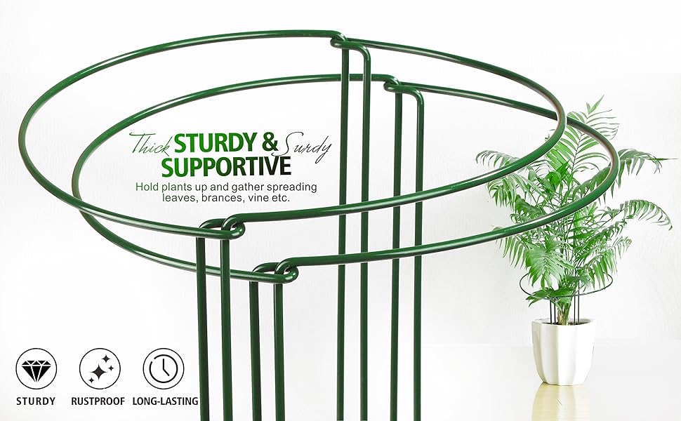 STURDY  PLASNT SUPPORT
