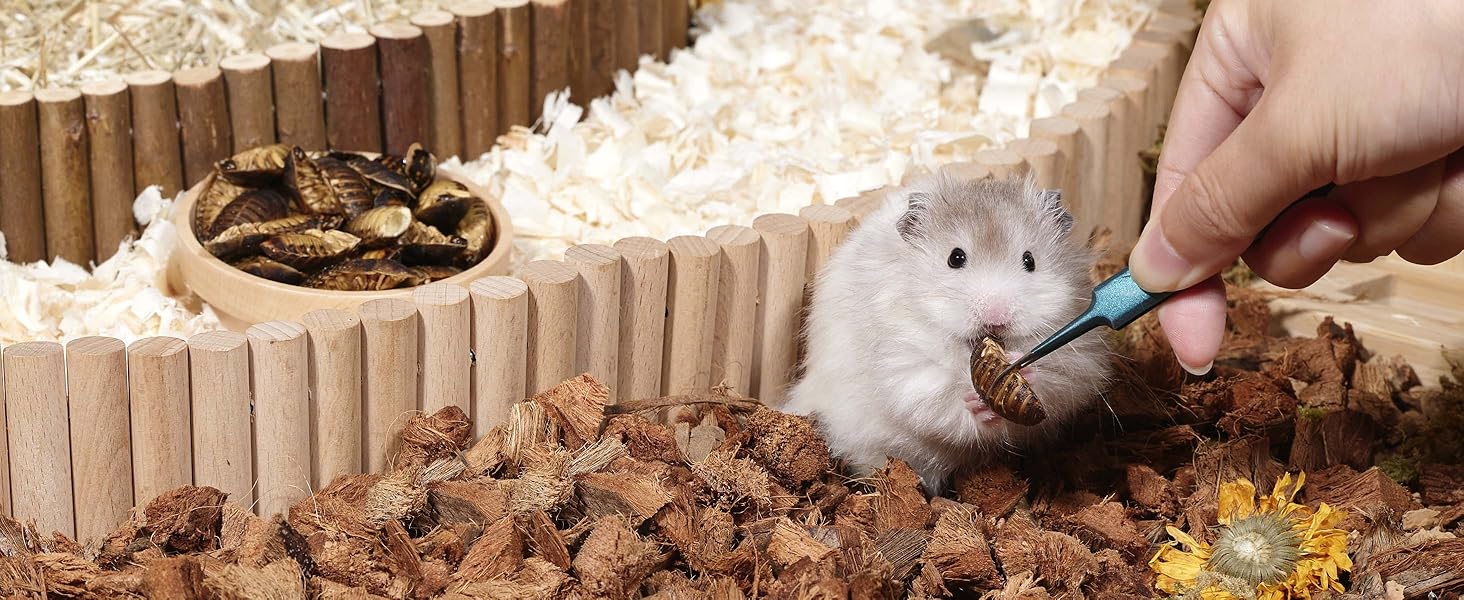 hamster snack niteangel