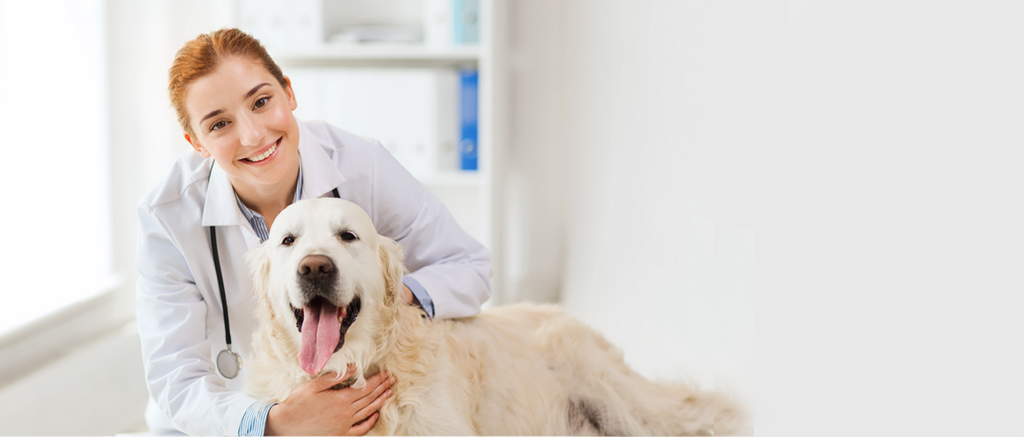 VetGen Pharmaceuticals Pharmacist with a Golden Retreiver
