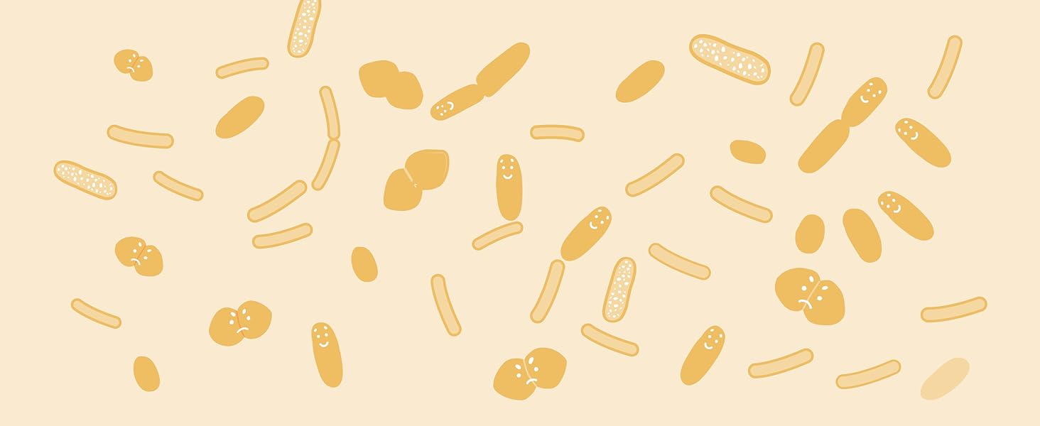 probiotika hund, probiotische bakterienstämme, Enterococcus faecium 