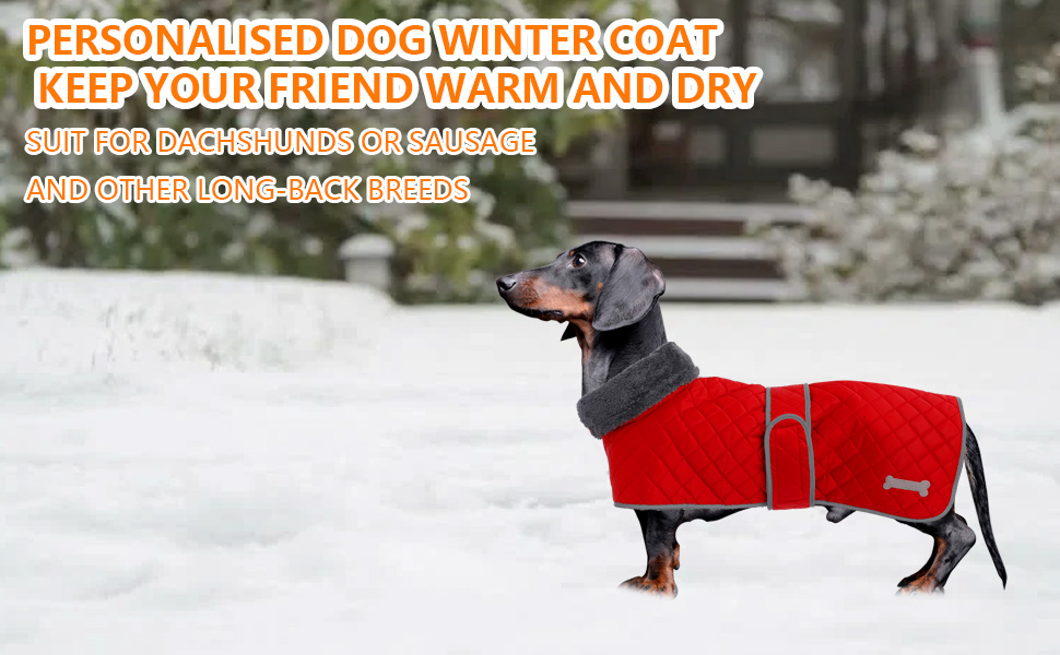 Dachshund dog coats sausage jacket perfect for dachshunds,
