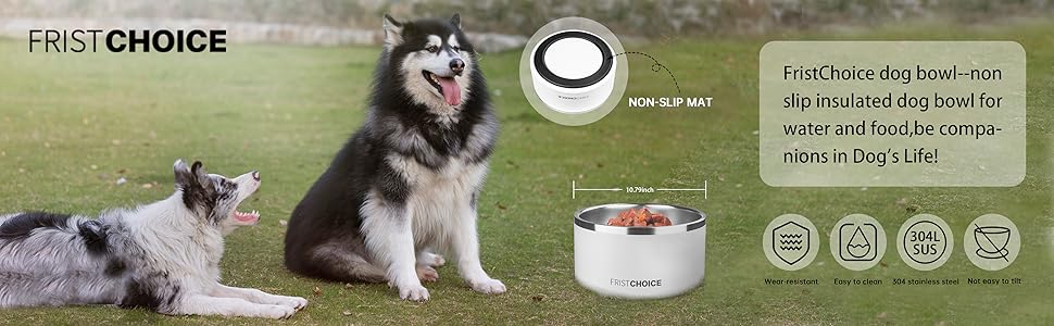 Pet Supplies : LIHOOOO Stainless Steel Dog Bowls, Etal Dog Bowls, Water Bowl For Dogs, Dog