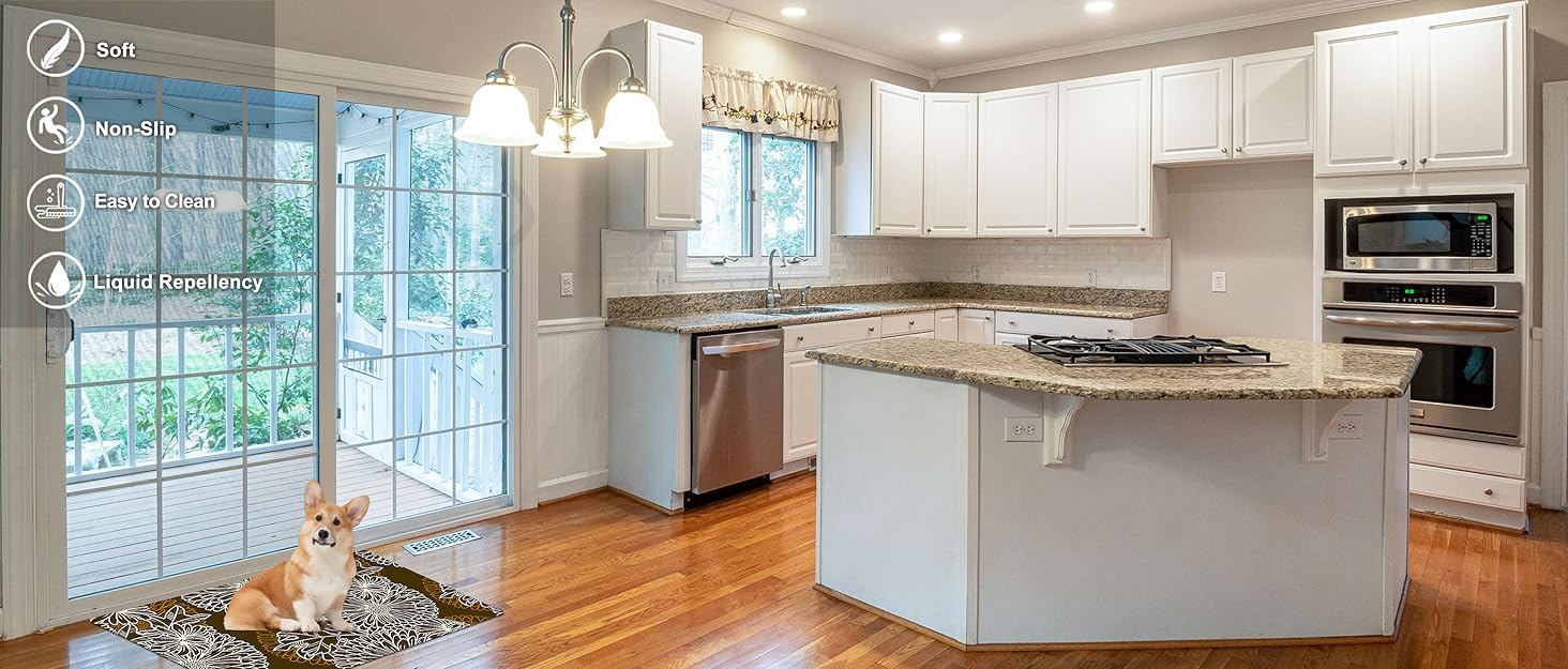 Cosilyt 1/10 Inch Ultra Thin Front Door Mat Rug Indoor