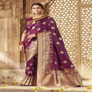 Elegant Elaborate Pallu Design