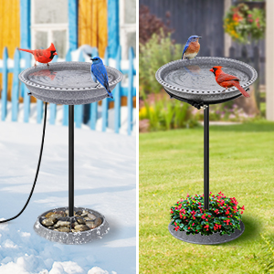 bain d'oiseaux chauffé