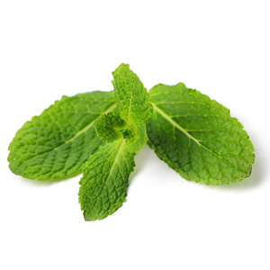 Maskology Foot Mask Ingredient Peppermint