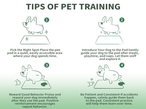 Puppy Pad Training Tips: Easy Steps for Quick Success