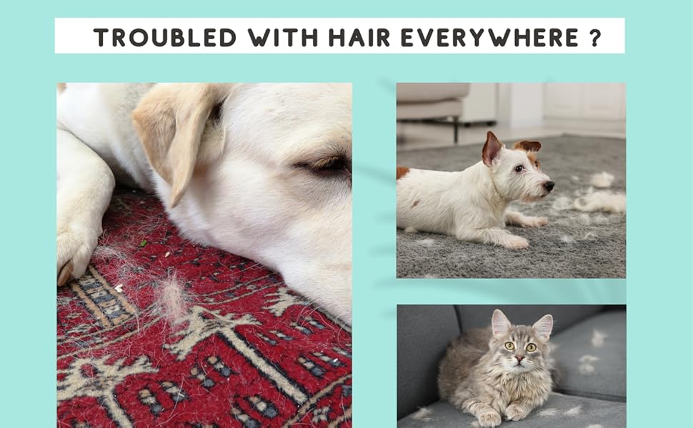 pet hair broom