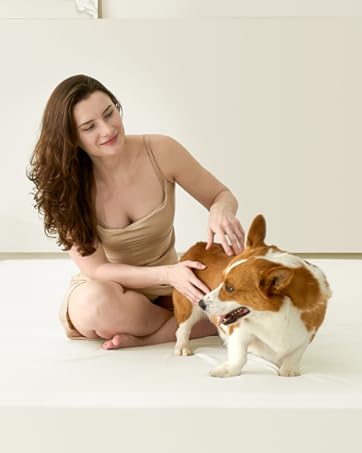 fitted sheet king size queen fitted sheet only cotton