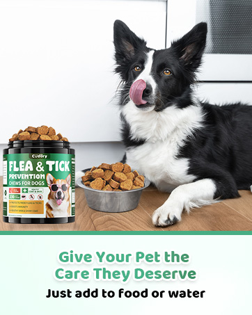 flea and tick chews for dogs