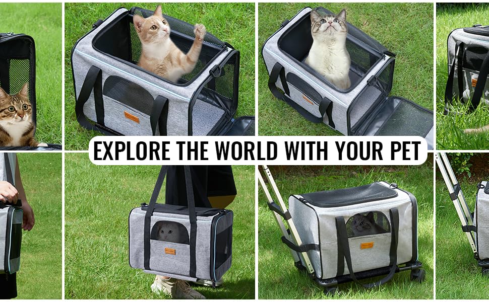Morpilot Cat Carrier with Wheels Airline Approved, Pet Dog