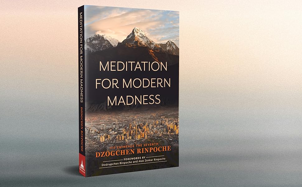 Amazon.com: Meditation for Modern Madness: 9781614299486