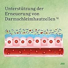 Salus Darm-Care Curcuma Bioaktiv Tonikum, Unterstützung der Erneuerung von Darmschleimhautzellen