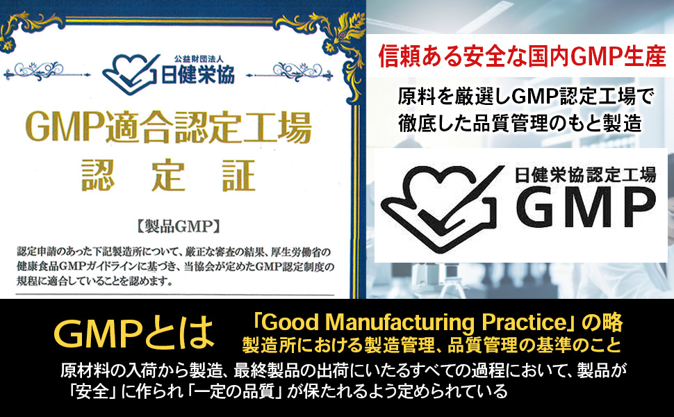 GMP工場