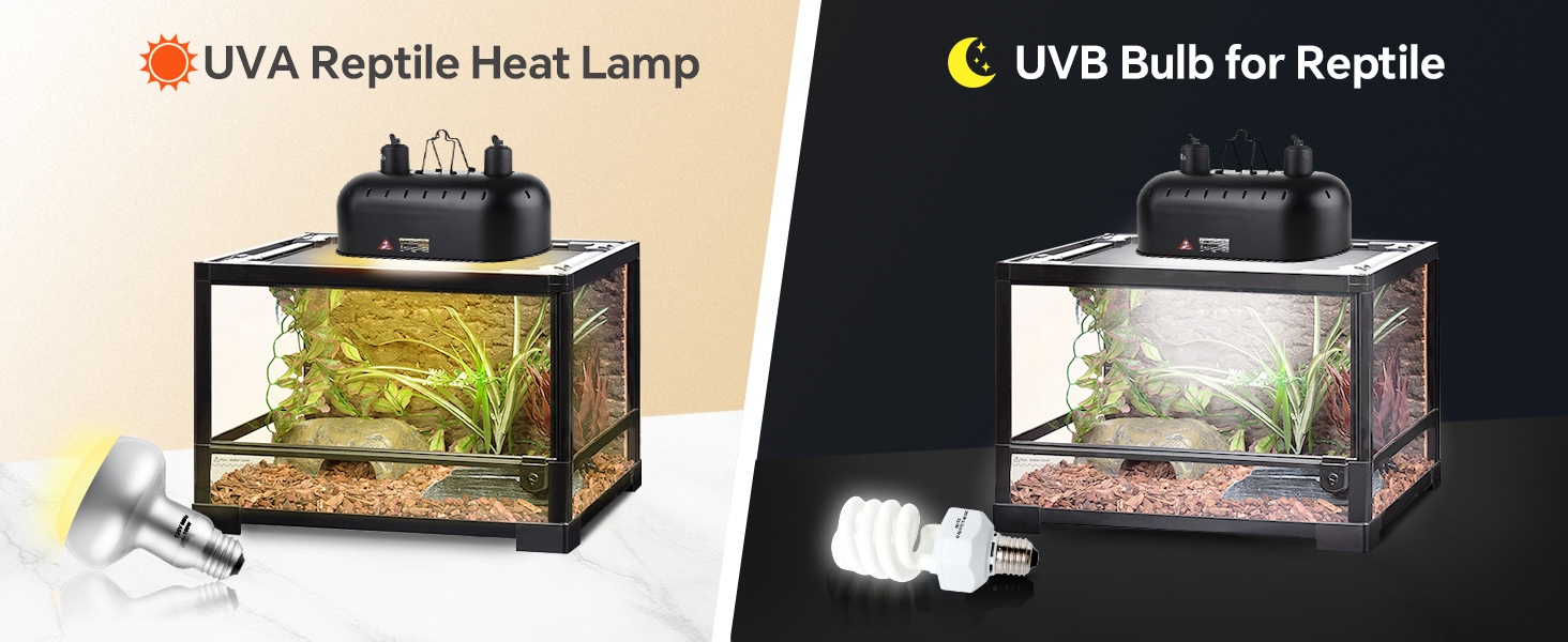 reptile heat bulb
