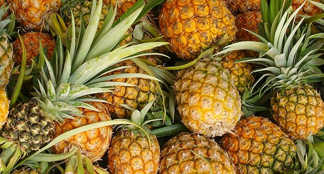 Large manufacture image 1