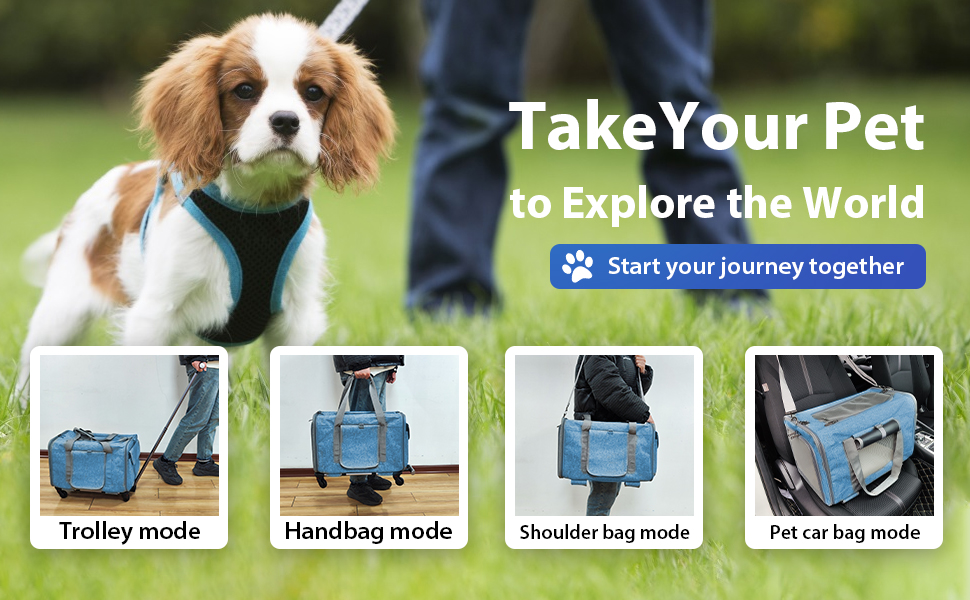 Rolling Pet Carrier with Wheels, Airline Approved Dog