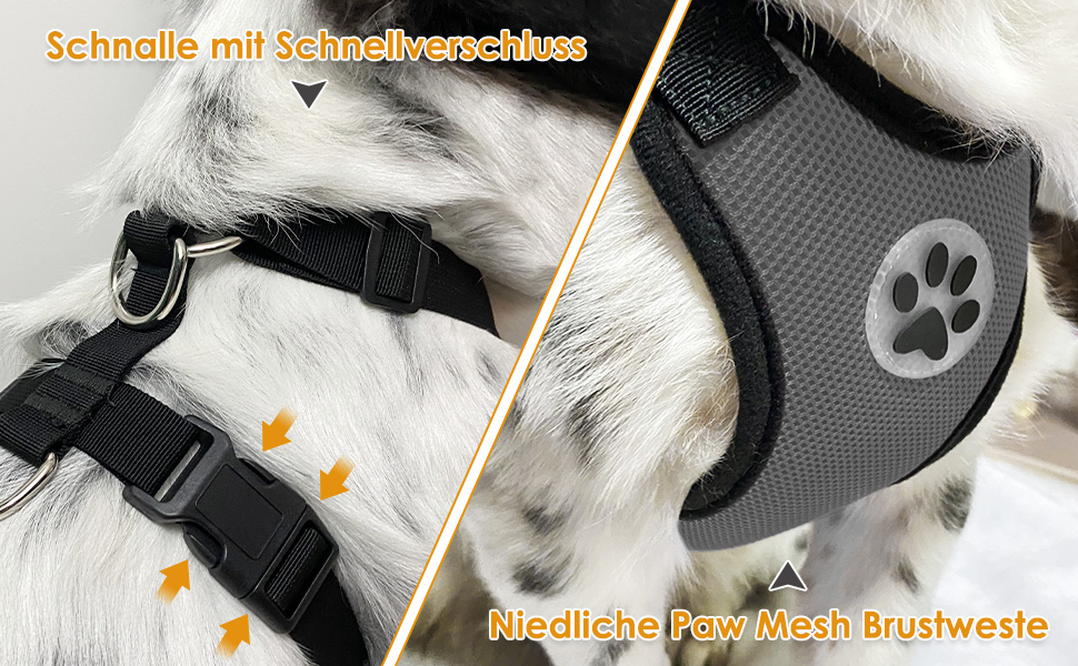 Eyein Auto Hundegeschirr mit 2 in 1 Hunde Sicherheitsgurt