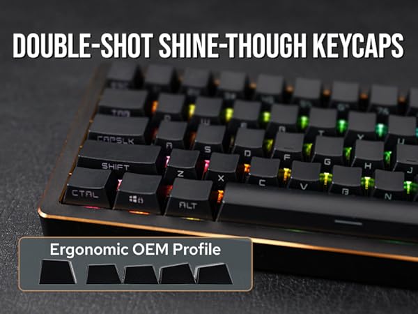 Amazon.com: EPOMAKER Tide65 QMK/VIA Wireless Gaming Keyboard
