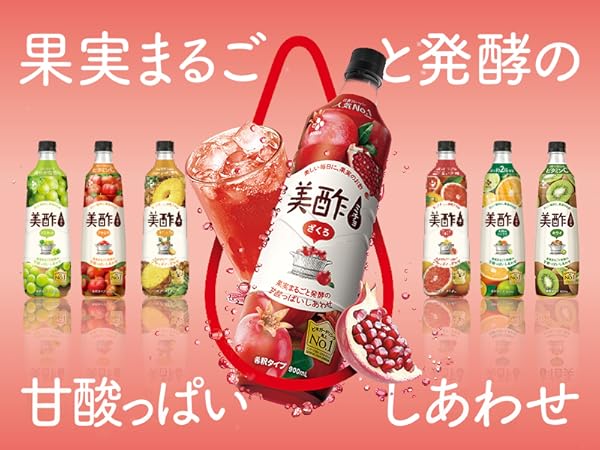 みちょ 美酢 美酢プラス ブルーベリー 500ml 【公式】 ミチョ みちょ お