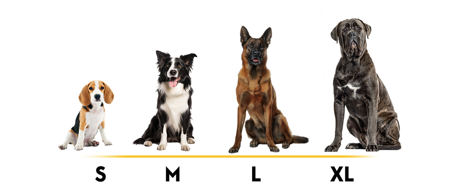 prong collar pinch collar for dogs  choke collar for dogs