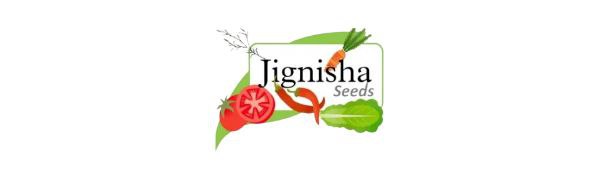 jignisha seeds herb plant tree vegetable flower grass fruit hybrid home garden