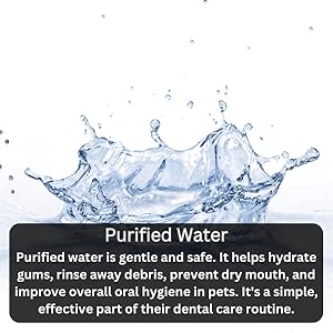 Sustainable Hygienic Teeth-care Wellness Deodorize Polishing Nourish Defender Scent Purification