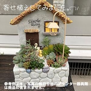 ガーデンワゴン　プランター　木製　多肉植物　観葉植物　花籠　ガーデニング Amazon.co.jp: 車輪付き木製フラワーカート 木製ワゴン