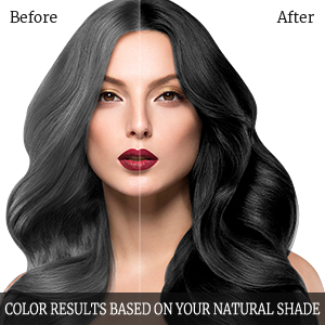 black hair dye shampoo