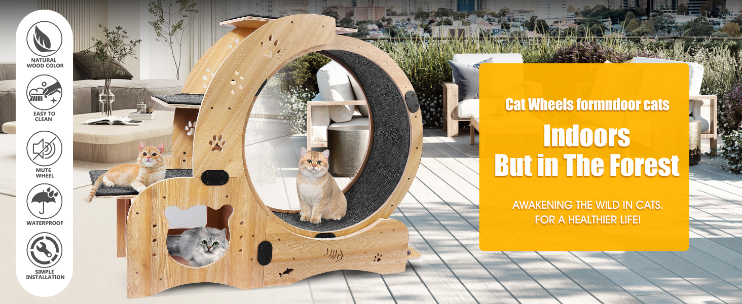 Cat Wheel, Cat Exercise Wheel