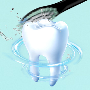 Sonic Cleaning Teeth Electric Toothbrush For Women Lady Teens Girls