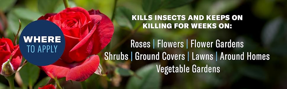 Kills insects on roses flowers flower gardens shrubs