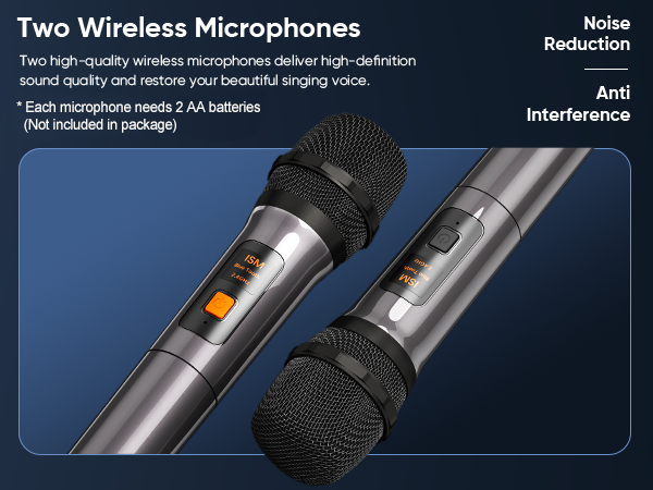 2 WIRELESS MICROPHONES
