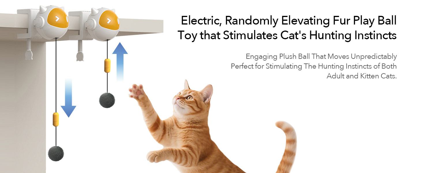 cat toy